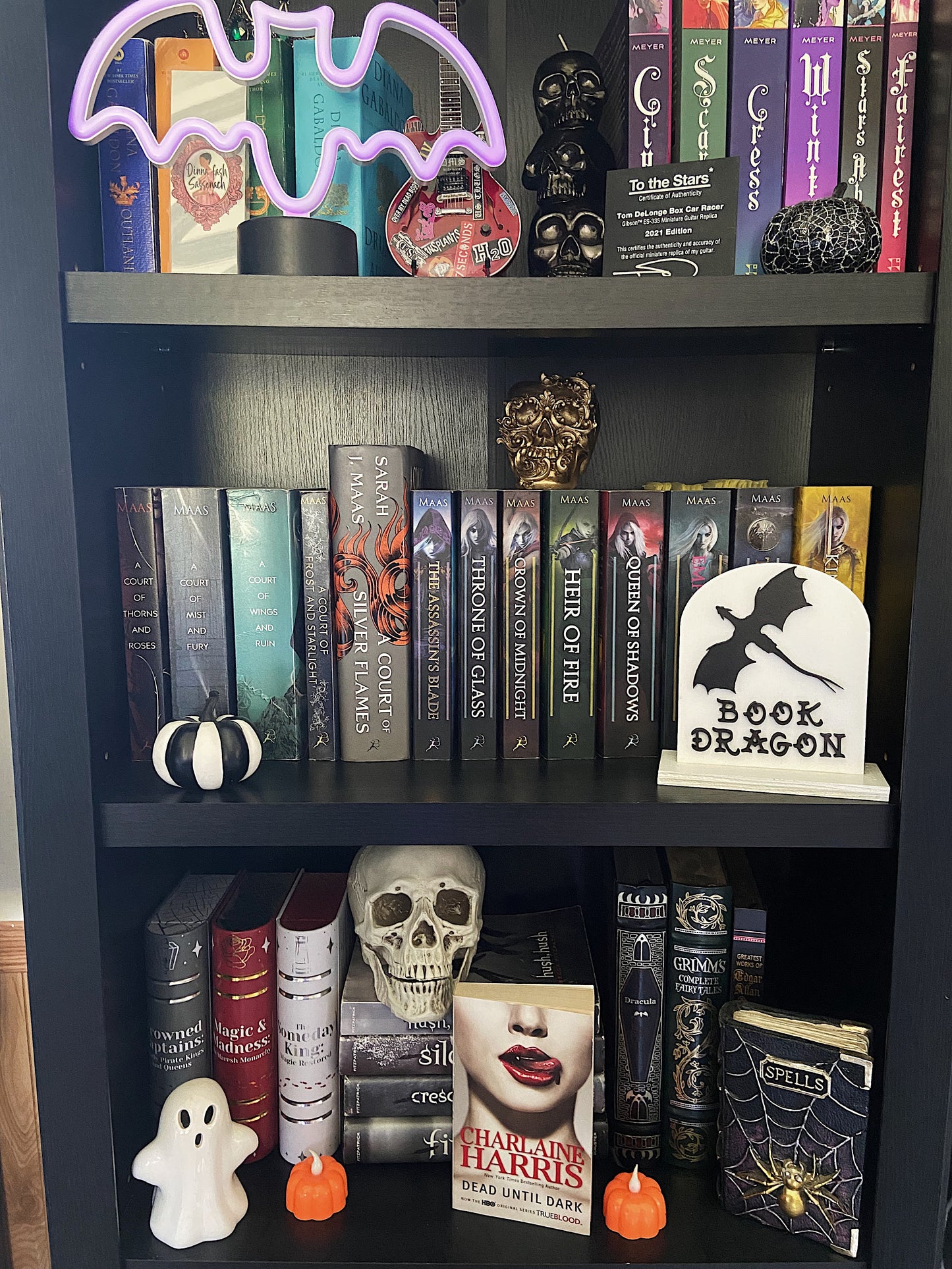 Bookshelf Sign, Library Sign - Book Dragon